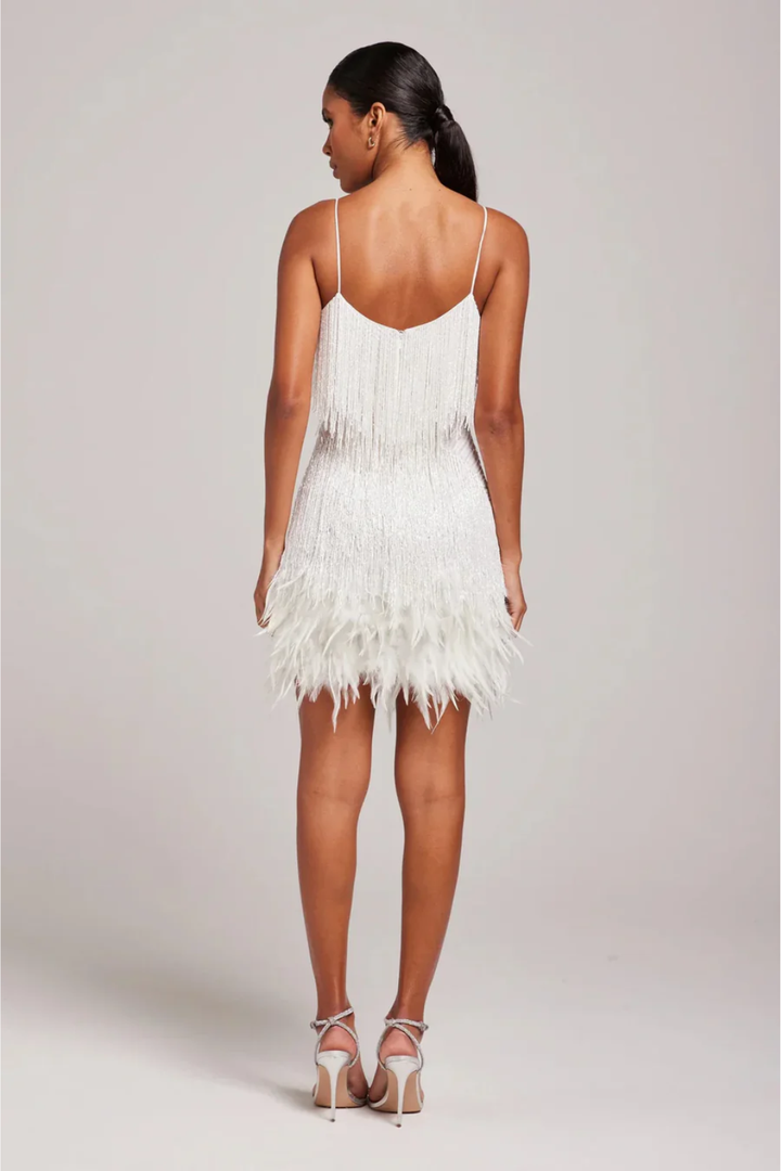 Brielle | Feather Sparkly Christmas Party Mini Dress